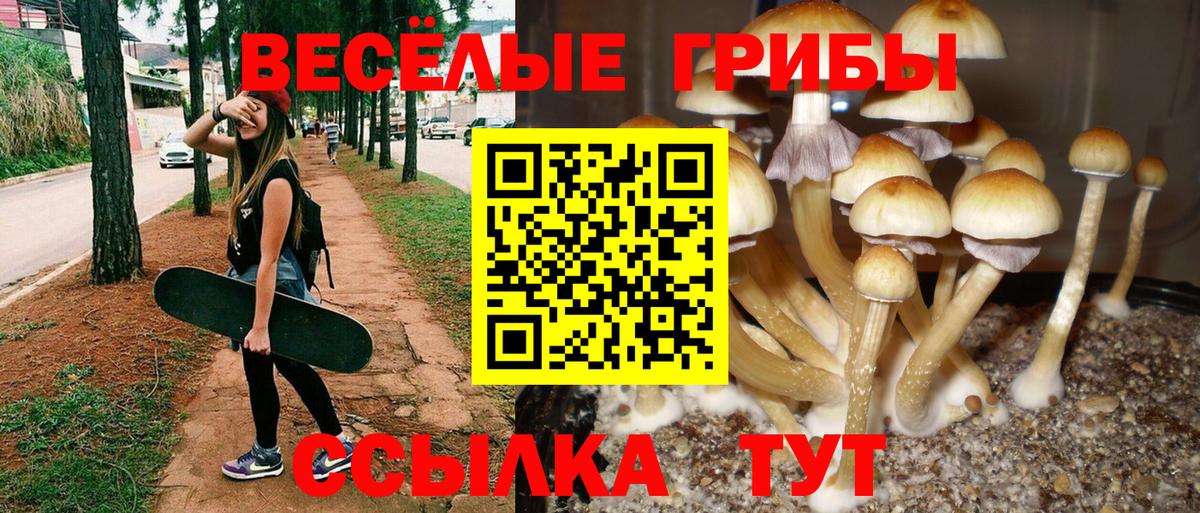 Гудермес  Псилоцибиновые грибы ЛСД  Псилоцибиновые грибы мухоморы  Вход с VPN 
