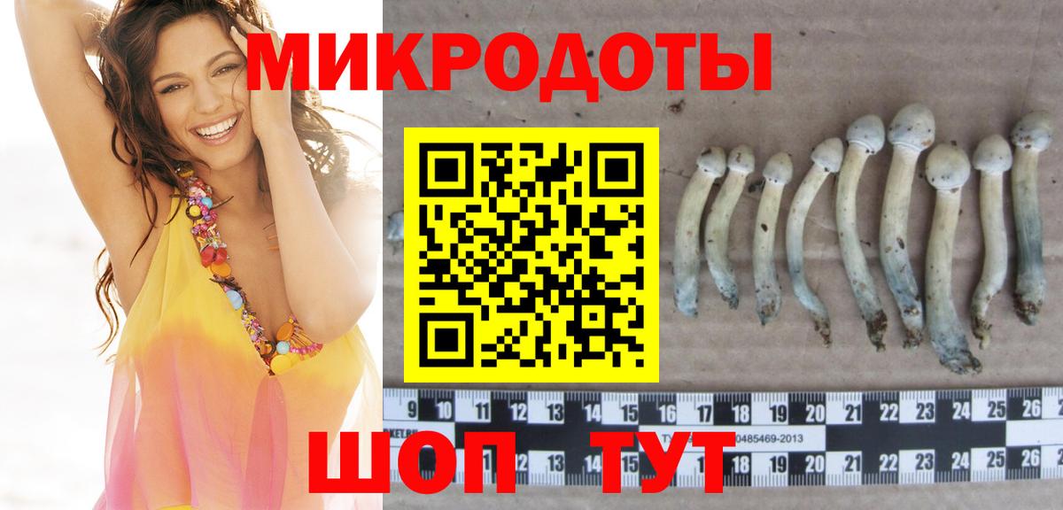 Псилоцибиновые грибы Psilocybine cubensis Гудермес